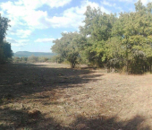 земля 54 сот Севастополь, с. Подгорное, Уютная улица