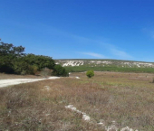 земля 266 сот территория КСП Память Ленина