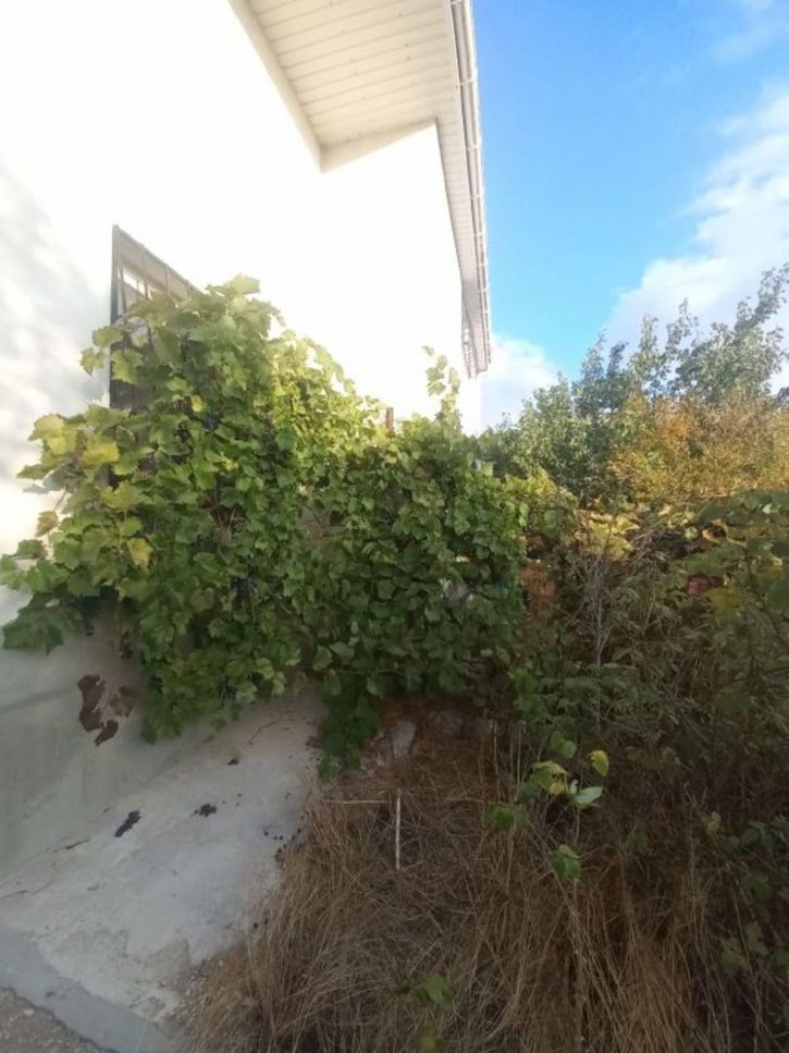 Коттедж/дом СТ Морзаводец