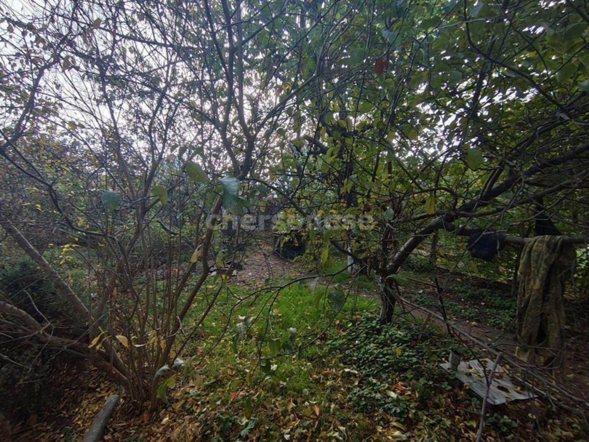 Купить дачу, дом, коттедж за 10 000 000 рублей на территория СТ Балаклавец