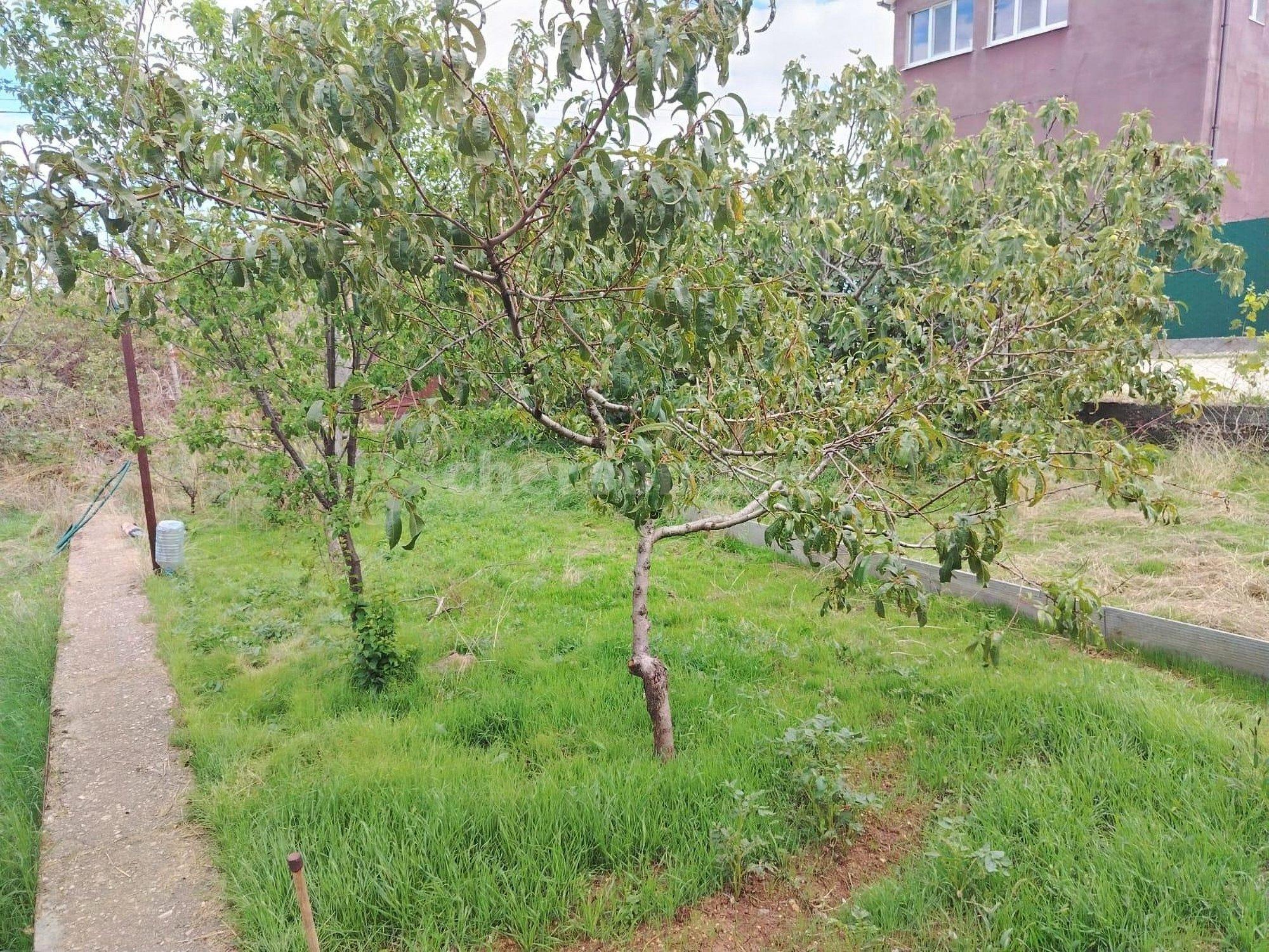 Купить дачу, дом, коттедж за 6 999 990 рублей на территория СТ Корабел