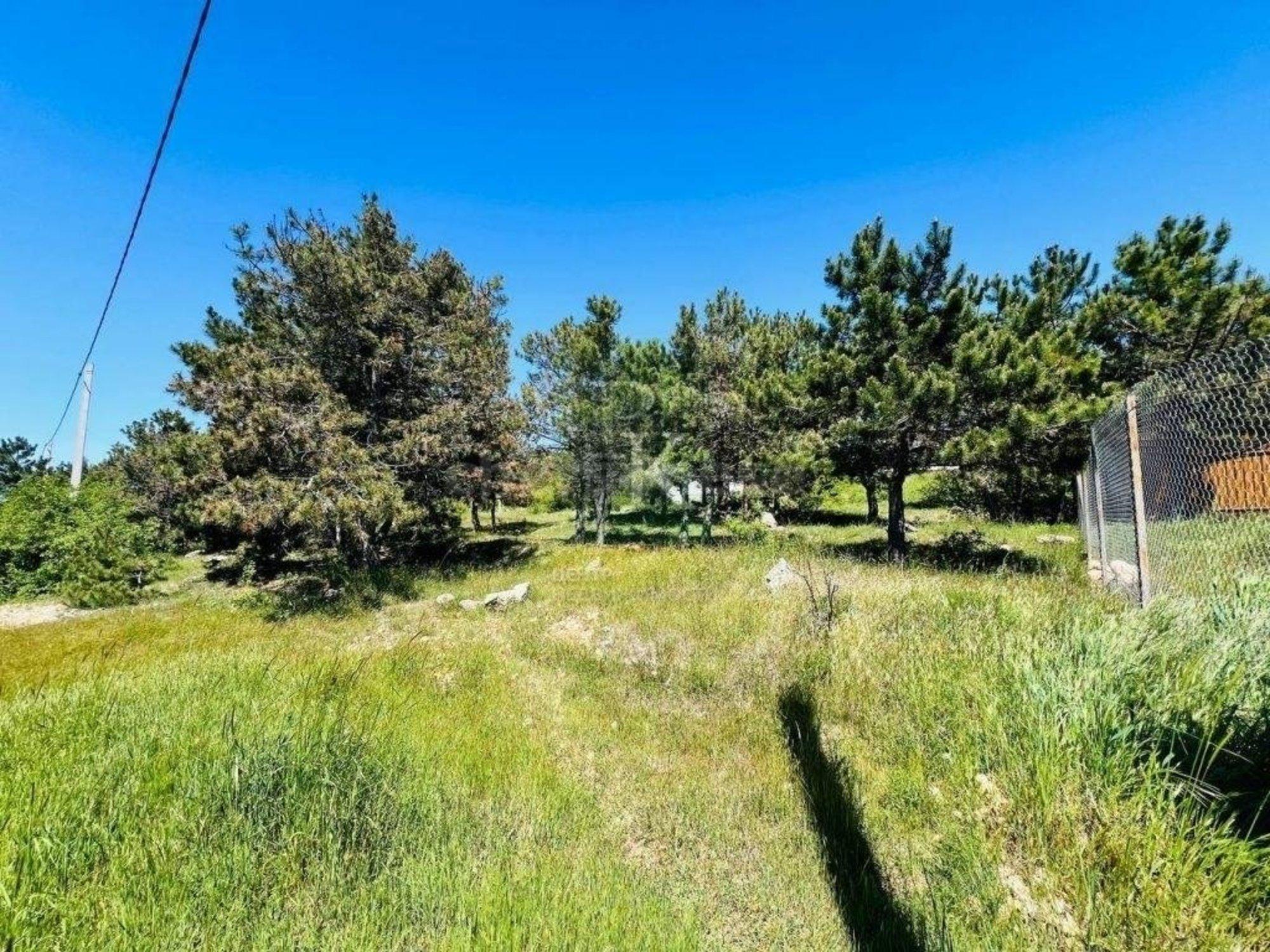 Купить землю, земельный участок за 2 750 000 рублей на территория СТ Лазурь