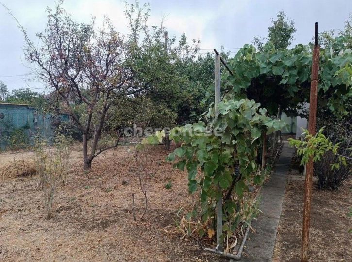 Коттедж/дом территория СТ Медик-3А