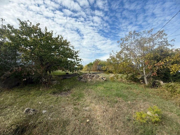 Земельный участок территория СТ Движенец