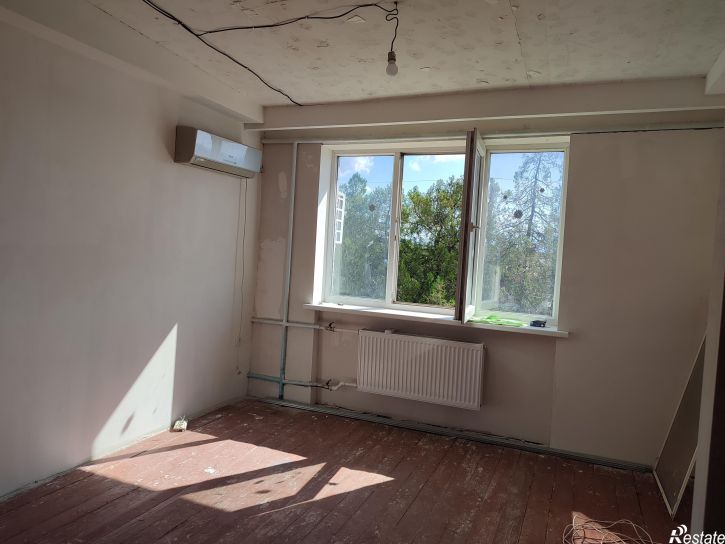 Комната Ветвистая , 24