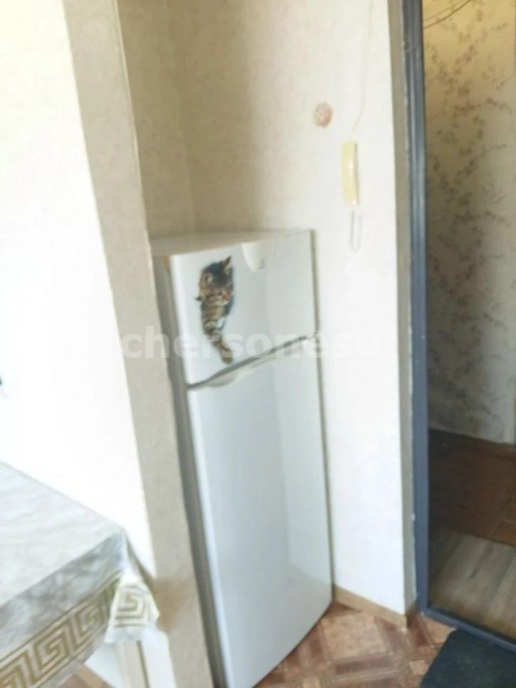 Комната Горпищенко улица, д.49