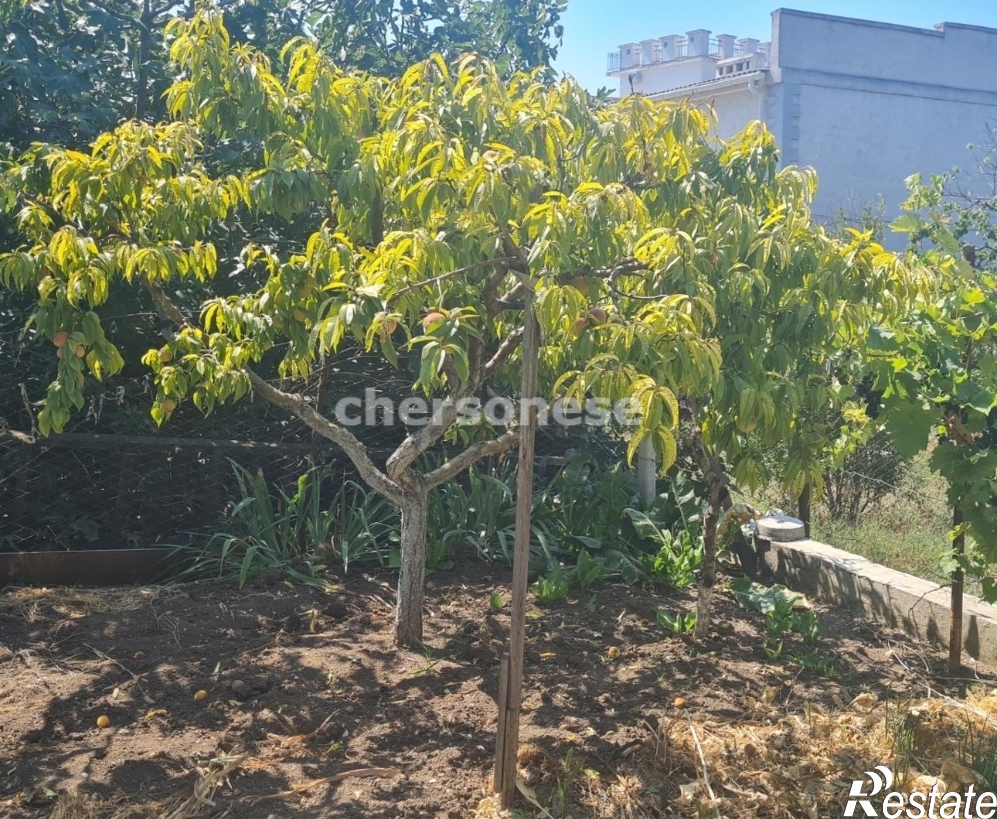 Купить дачу, дом, коттедж за 6 180 000 рублей на улица Тельмана