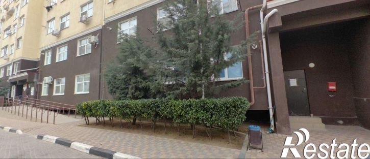 1-комн квартира улица Горпищенко, д.145к1
